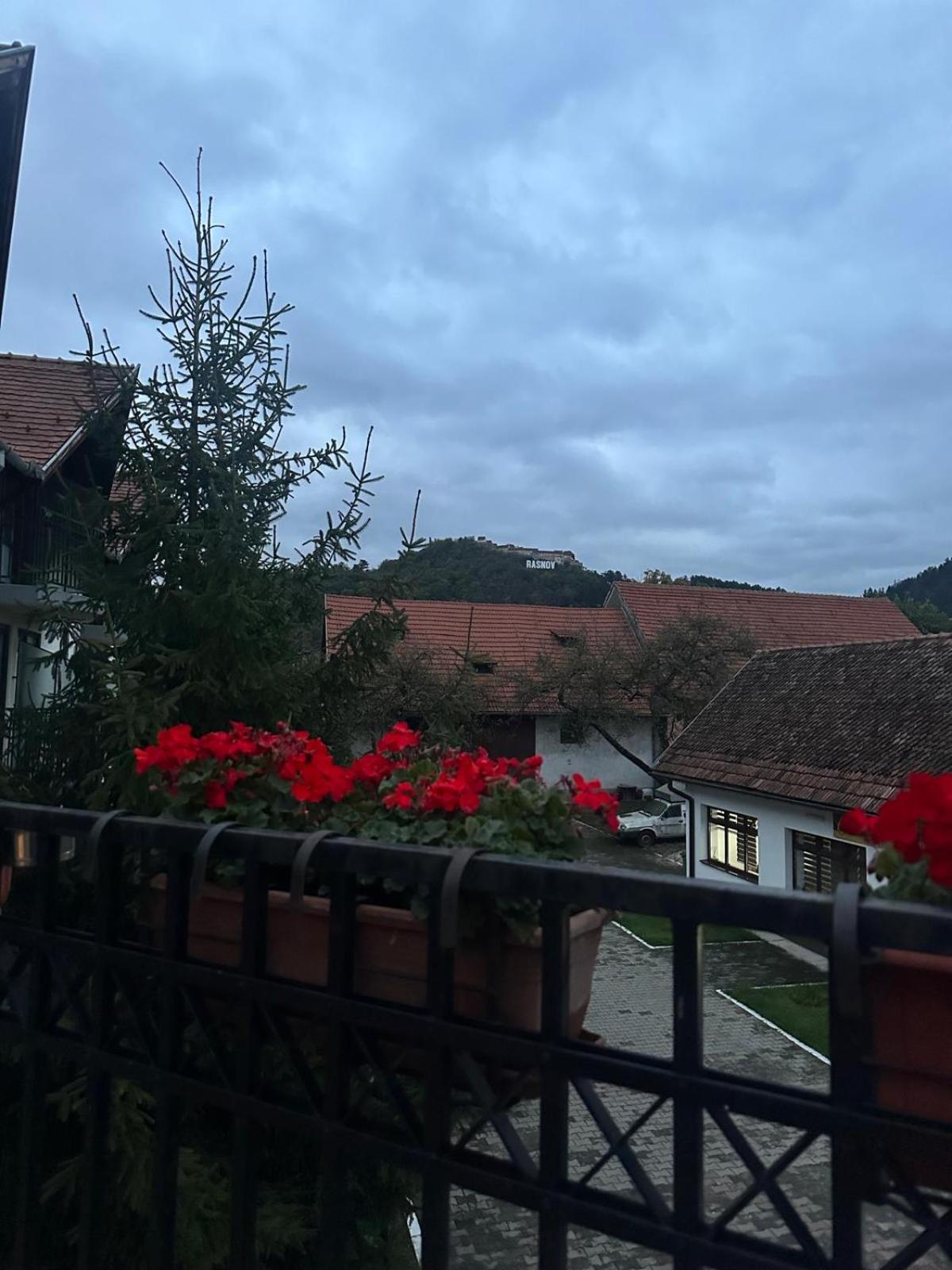 Rîşnov Pensiunea Casa Saxonia מראה חיצוני תמונה