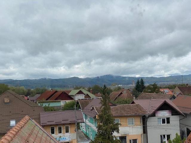 Rîşnov Pensiunea Casa Saxonia מראה חיצוני תמונה