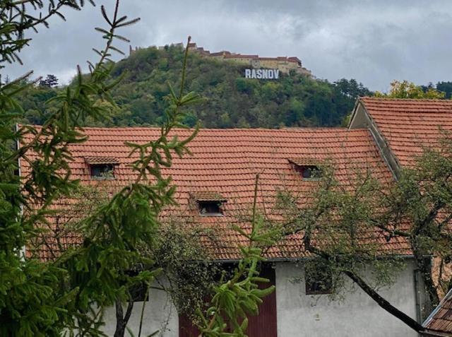Rîşnov Pensiunea Casa Saxonia מראה חיצוני תמונה