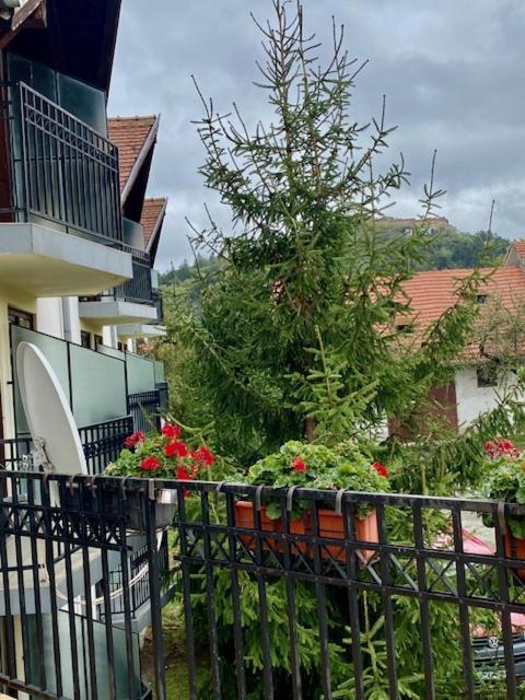Rîşnov Pensiunea Casa Saxonia מראה חיצוני תמונה