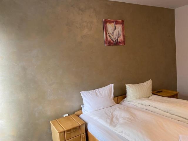 Rîşnov Pensiunea Casa Saxonia מראה חיצוני תמונה