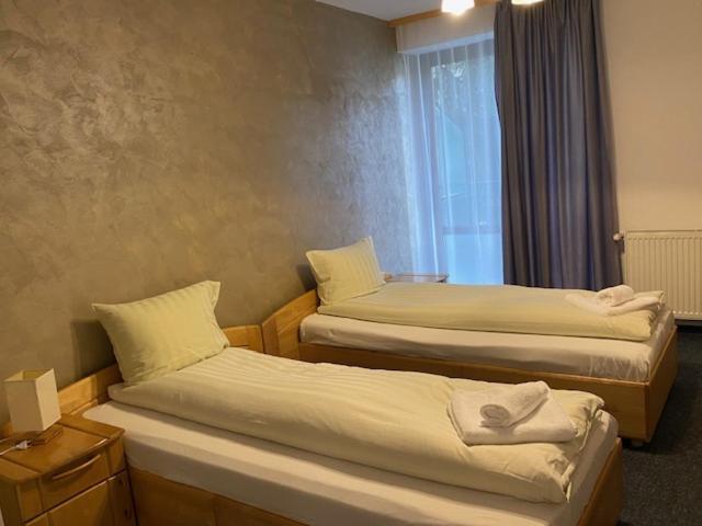 Rîşnov Pensiunea Casa Saxonia מראה חיצוני תמונה